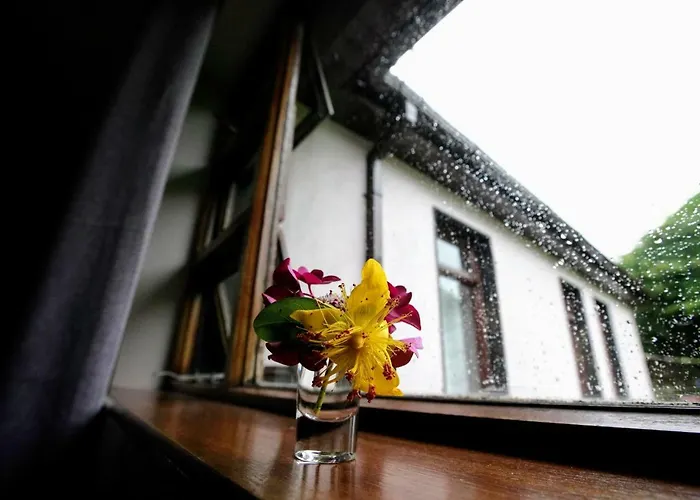 Abbey View Bed & Breakfast Galway